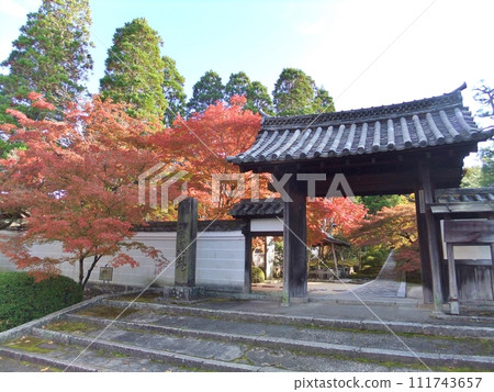 一休寺秋葉 一休寺秋葉 111743657