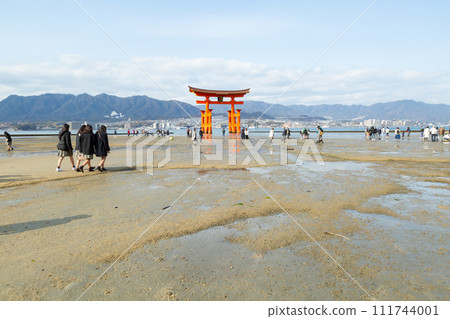 廣島宮島嚴島神社大鳥居門在退潮時的海上 廣島宮島嚴島神社大鳥居門在退潮時的海上 111744001