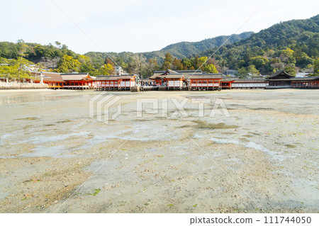 退潮時從海邊看到的廣島宮島嚴島神社主殿與能舞台 退潮時從海邊看到的廣島宮島嚴島神社主殿與能舞台 111744050