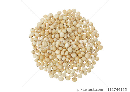 Sorghum seeds isolated on white background. Top view. Flat lay. Sorghum seeds isolated on white background. Top view. Flat lay. 111744135