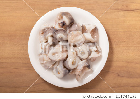 squid cartilage 111744155