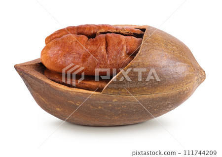 broken pecan nut isolated on white background with full depth of field broken pecan nut isolated on white background with full depth of field 111744209