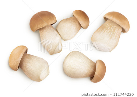 Fresh porcini cep mushroom isolated on white background. Top view. Flat lay Fresh porcini cep mushroom isolated on white background. Top view. Flat lay 111744220