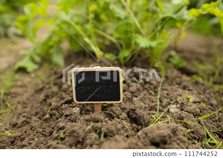 Black blank billboard against green field landscape. Empty mockup template. Blackboard label at farm land. Black blank billboard against green field landscape. Empty mockup template. Blackboard label at farm land. 111744252