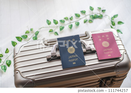 Preparation for traveling abroad 111744257