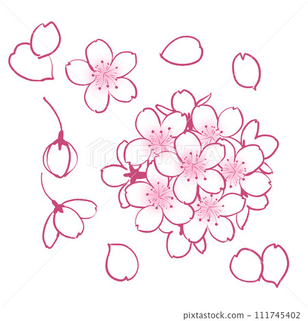 Hand-drawn simple cherry blossom illustration Hand-drawn simple cherry blossom illustration 111745402