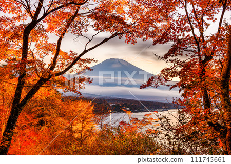 Mt. Fuji, Japan from Yamanaka Lake in Autumn Mt. Fuji, Japan from Yamanaka Lake in Autumn 111745661