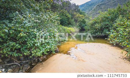 the lake of Fa Peng bay, hk Feb 17 2024 111745733