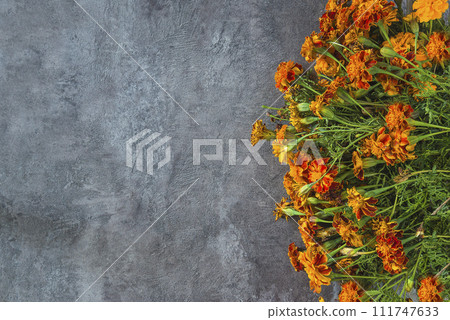 Summer greeting card concept 111747633
