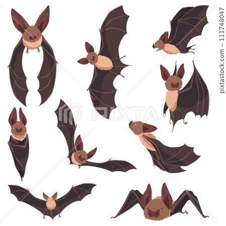 Collection of flying bats. Concept cartoon bat in different poses. Elements set. Vector clipart illustration isolated on white background 111748047