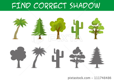 Kids game with trees,find correct shadows, Kids game with trees,find correct shadows, 111748486