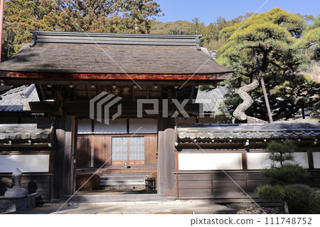 三門和松樹，天農寺，與德川家康有淵源的寺廟 111748752