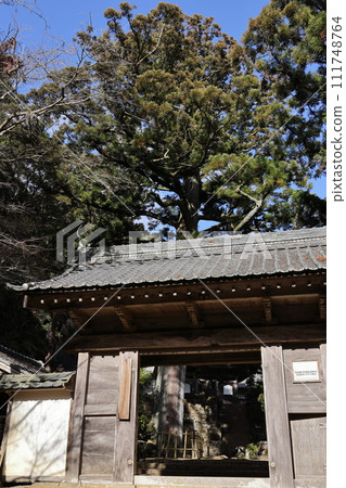 三門和大杉天農寺(與德川家康有淵源的寺廟) 三門和大杉天農寺(與德川家康有淵源的寺廟) 111748764