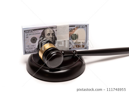Gavel and Money Concept for Financial Legal Issues. 111748955