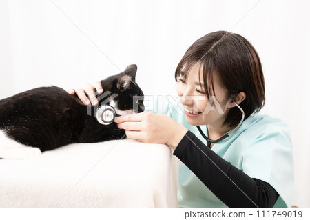 Female veterinarian examining a black kitten Female veterinarian examining a black kitten 111749019