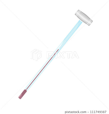 Sommelier Wine Thermometer color vector illustration 111749387