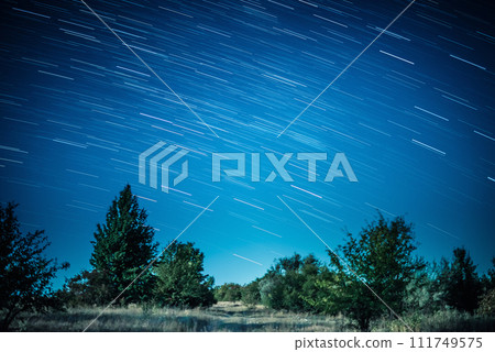 Startrails above dark forest Startrails above dark forest 111749575
