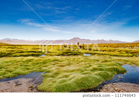 Bolivian mountain landscape 111749843