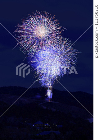 大型煙花在夜空中盛開 大型煙花在夜空中盛開 111750210