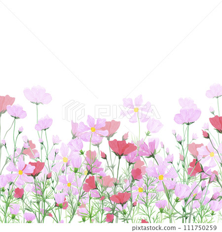 Hand drawn watercolor daisy wildflowers frame border isolated on white background. Can be used for cards, invitation, poster and other printed products. 111750259