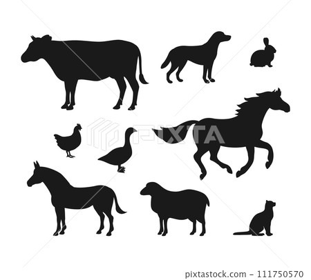Vector set of flat domestic animals silhouette Vector set of flat domestic animals silhouette 111750570
