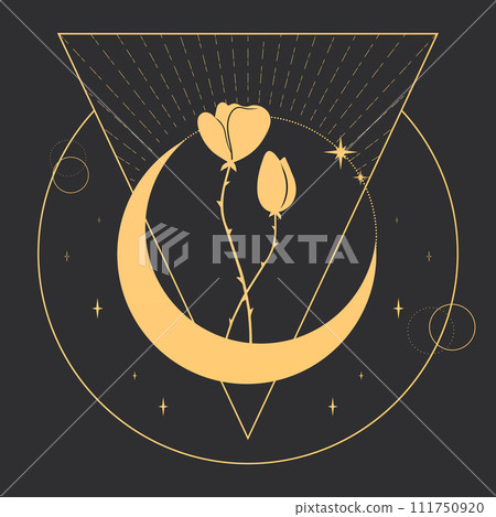 Celestial background with a crescent, stars and flowers. Magical vector illustration 111750920