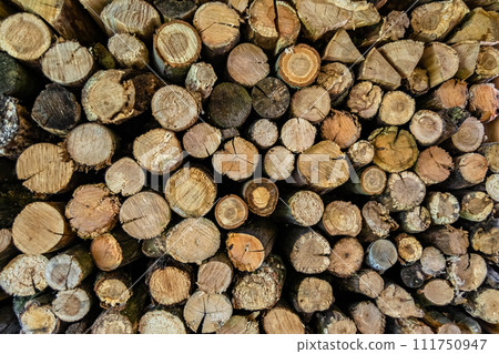 Photography on theme big wall of stacked oak tree logs in cracks Photography on theme big wall of stacked oak tree logs in cracks 111750947