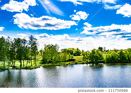 Beautiful grass swamp reed growing on shore reservoir in countryside Beautiful grass swamp reed growing on shore reservoir in countryside 111750986