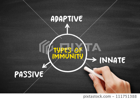 Types of immunity mind map text concept for presentations and reports 111751388