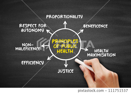 Principles of public health (science and art of preventing disease, prolonging life and promoting health through the organized efforts) mind map text concept background 111751537