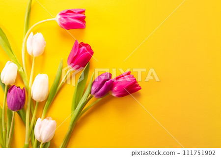 Yellow tulips on a yellow background, top view, international woman's day, spring bouquet Yellow tulips on a yellow background, top view, international woman's day, spring bouquet 111751902