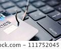Close-up of credit card on the hook. Phishing concept 111752045