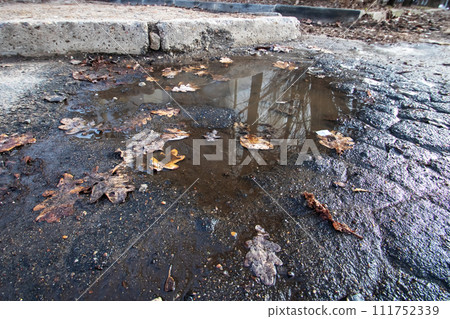 Yellow autumn leaves in a puddle closeup 111752339