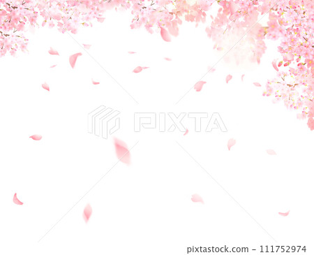 Beautiful light pink cherry blossom flowers and petals spring watercolor white back frame background material illustration 111752974