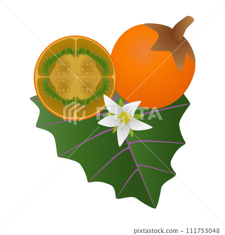 Exotic naranjilla fruit on a leaf with a flower on a white background. Exotic naranjilla fruit on a leaf with a flower on a white background. 111753048