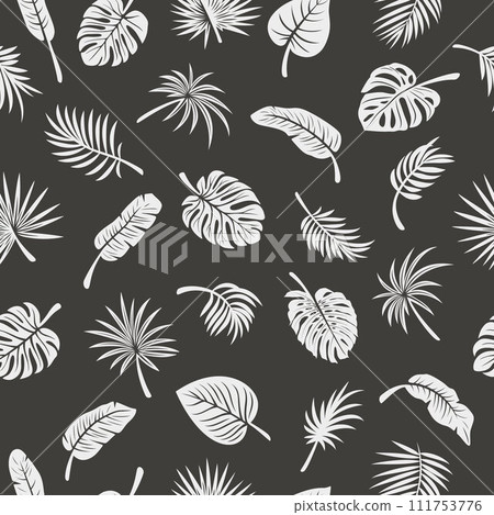 Vector Seamless Pattern with Tropical Leaf Silhouettes. Flat Vector Black and White Cutout Style Monstera, Ficus, Banana Leaf, Dracaena, Sabal Palm Leaves, Isolated 111753776