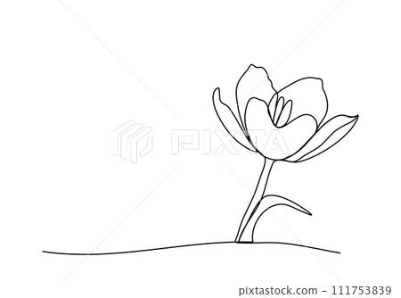 Flower, one line drawing vector illustration. Flower, one line drawing vector illustration. 111753839
