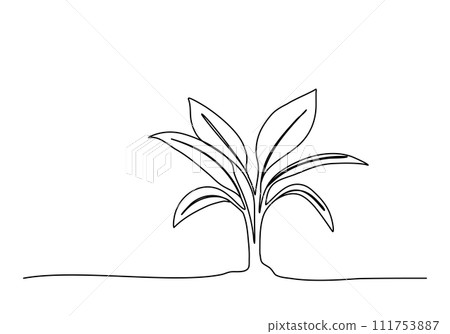 Sprout, one line drawing vector illustration. 111753887