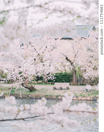 櫻花的風景 櫻花的風景 111754661