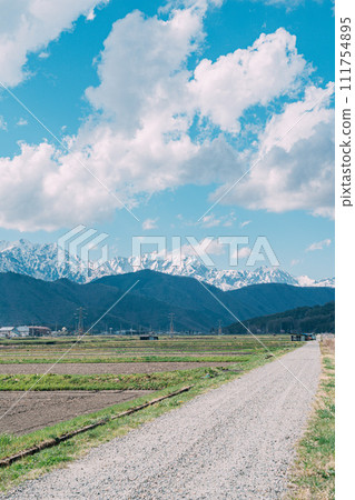 Rural landscape with snow in the Alps in early summer Rural landscape with snow in the Alps in early summer 111754895