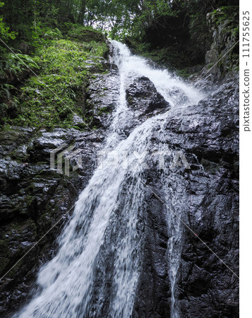 Yamaguchi City/Inunaki Falls Yamaguchi City/Inunaki Falls 111755625