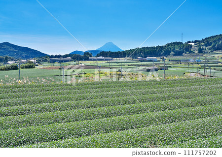 【知覽茶田遍佈】鹿兒島縣南九州市愛長郡 111757202