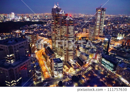 柏悅酒店和東京都廳展望台的夜景 柏悅酒店和東京都廳展望台的夜景 111757630