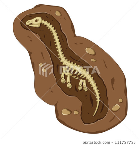 Detailed Dinosaur Fossil Illustration with Cartoon Style of illustration 111757753