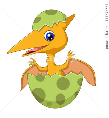 Cartoon baby pteranodon hatching from egg of illustration 111757771