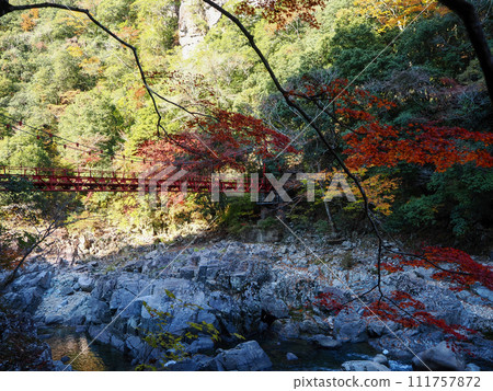 萩市長門峽和紅葉橋景觀 111757872