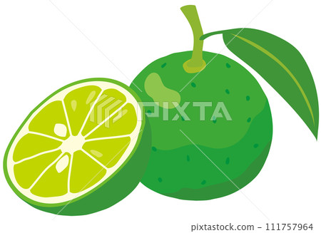 須鰍水果 德島縣旅遊資料 須鰍水果 德島縣旅遊資料 111757964