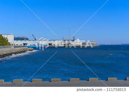 2024 年 2 月從千葉縣浦安市眺望船橋市 111758013