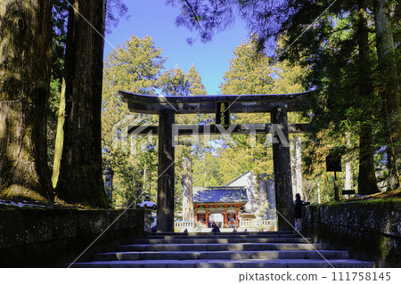 Stone torii on the approach 111758145