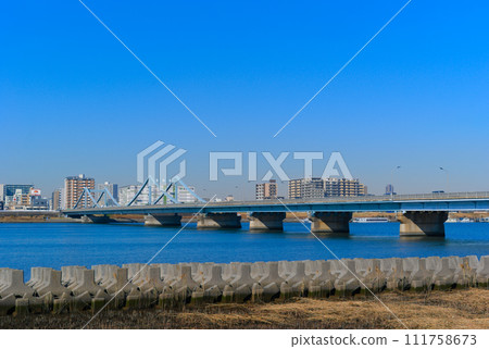 Around Kasai Bridge, Koto-ku, Tokyo February 2024 111758673